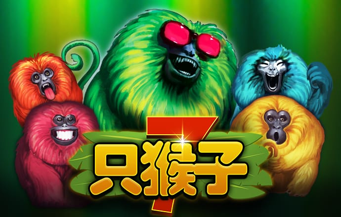 巴沙体育